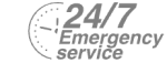 24/7 Emergency Service Pest Control in Seven Sisters, N15. Call Now! 020 8166 9746