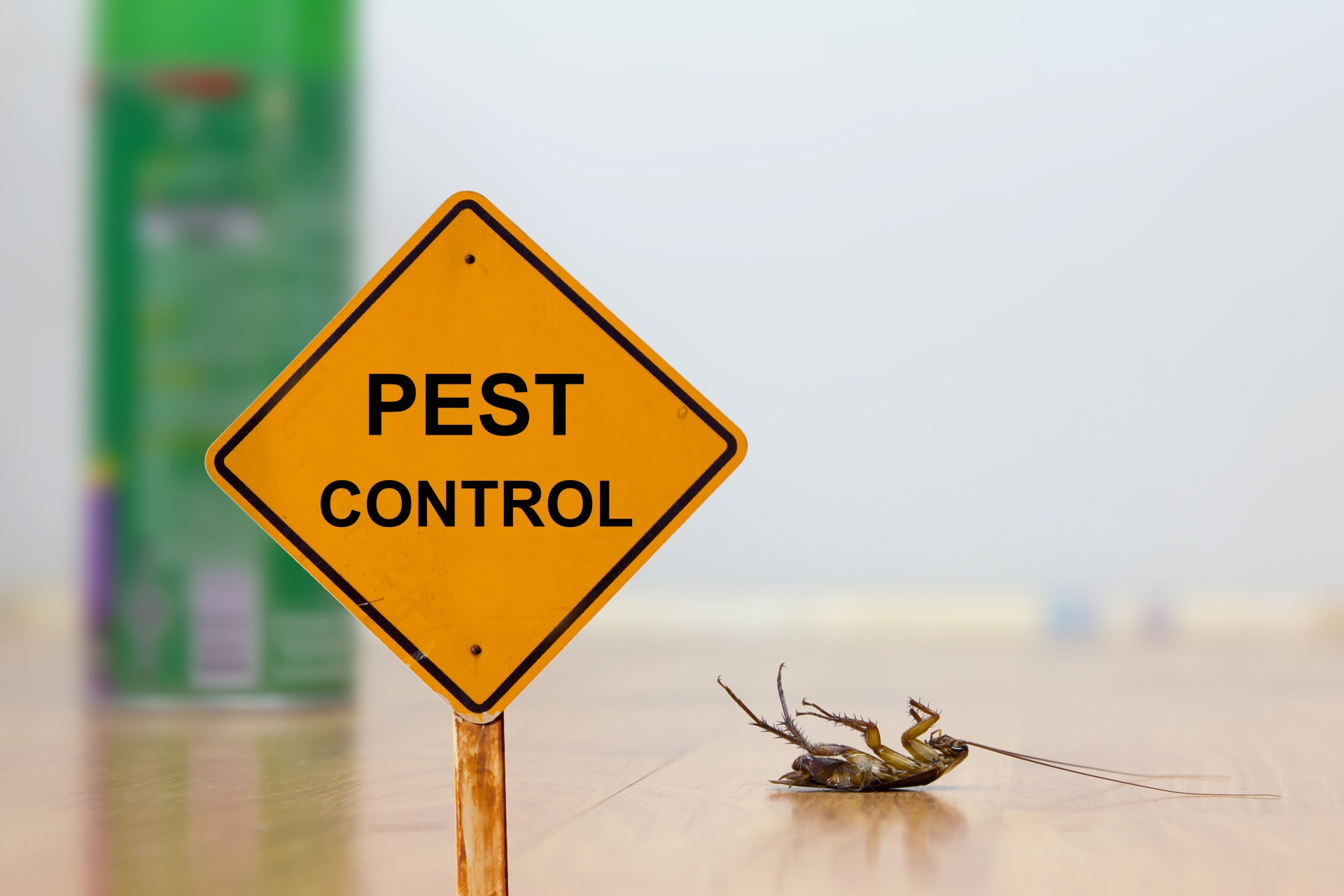 24 Hour Pest Control, Pest Control in Seven Sisters, N15. Call Now 020 8166 9746